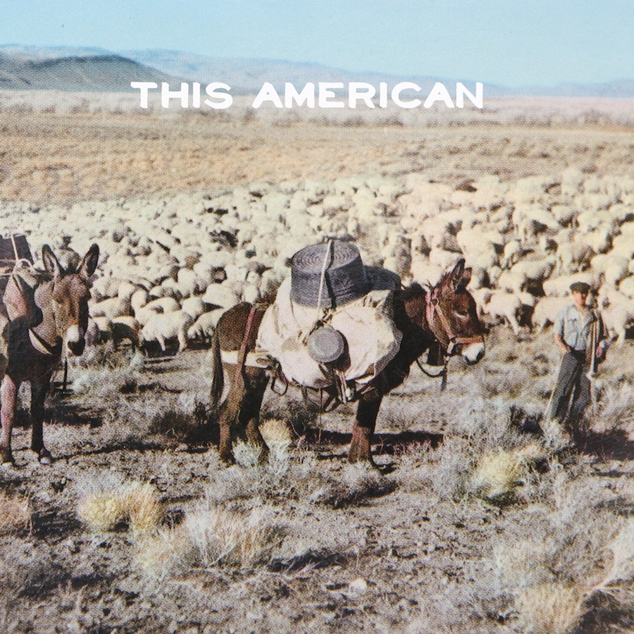 Joe Purdy - This American